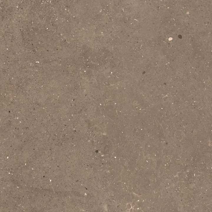 Graniti Fiandre Solida Nut naturalna R10 60x60 cm gr. 8 mm